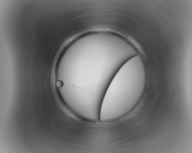 X0000115700840200911120941