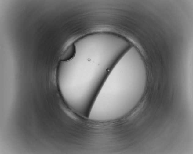X0000115700842200911120941