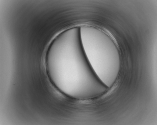 X0000115700843200911120941