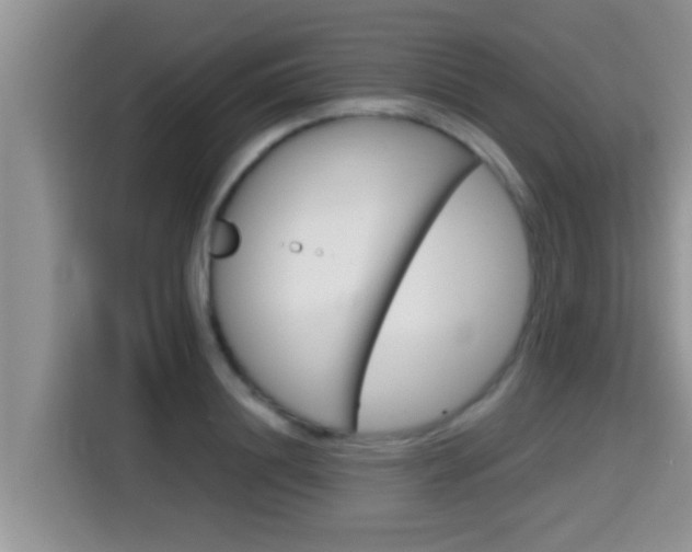 X0000115700844200911120941