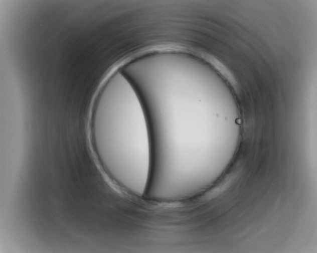 X0000115700845200911120941
