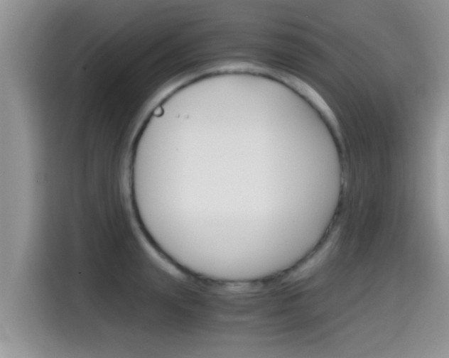 X0000115700847200911120941