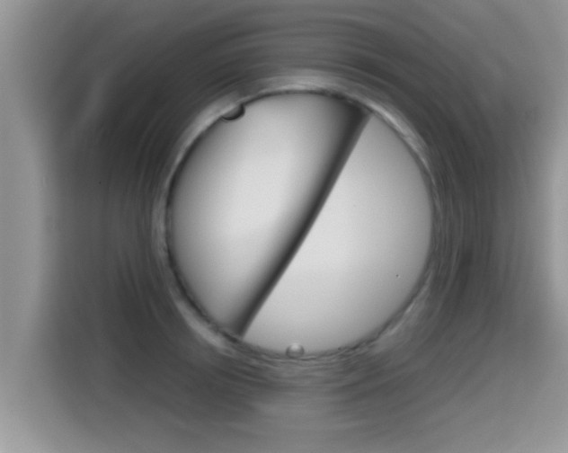 X0000115700850200911120941