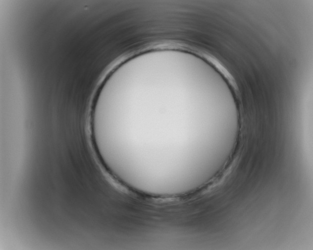 X0000115700853200911120942