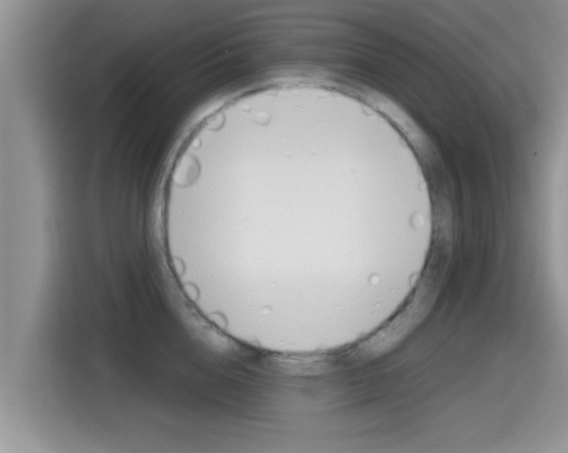 X0000115700856200911120942