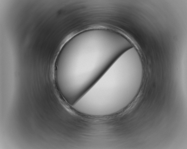 X0000115700858200911120942
