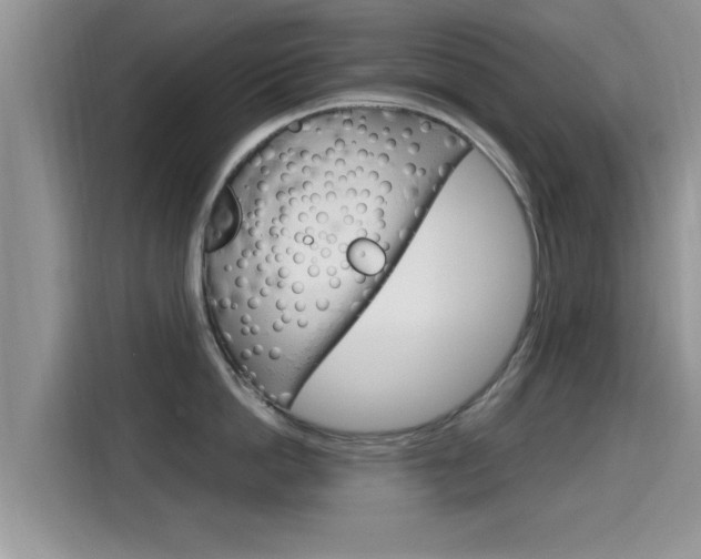 X0000115700862200911120942