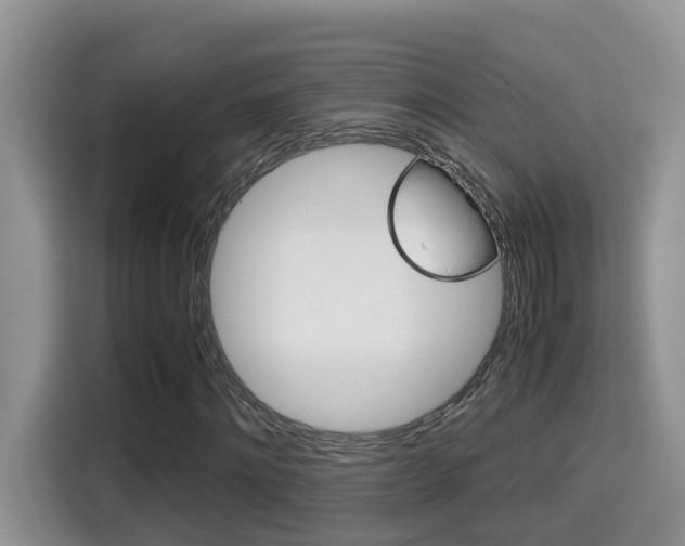 X0000115700868200911120941