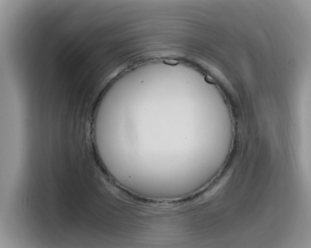 X0000115700881200911120941