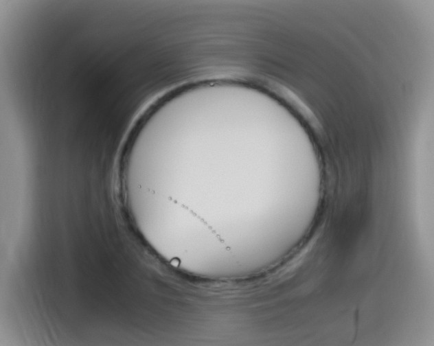 X0000115700883200911120941