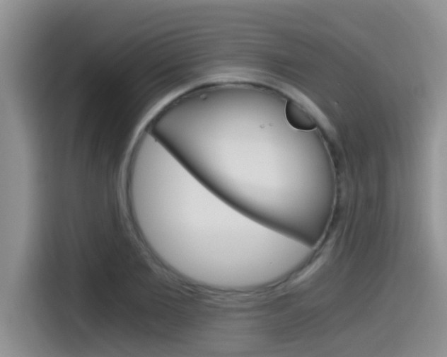 X0000115700885200911120941