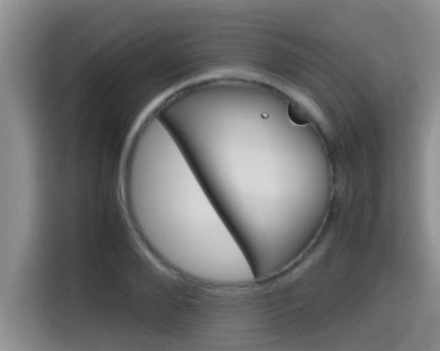 X0000115700888200911120941