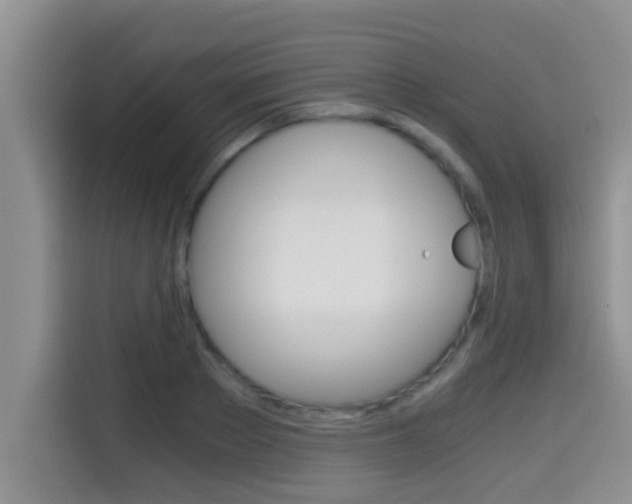 X0000115700889200911120941