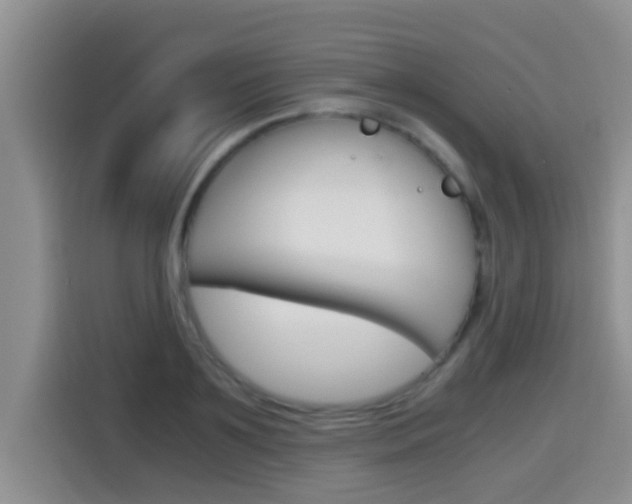 X0000115700891200911120941