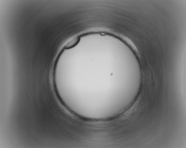 X0000115700895200911120941