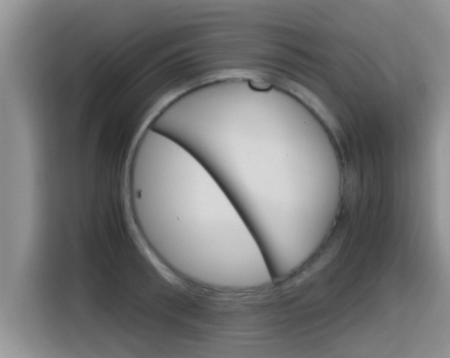 X0000115700898200911120941