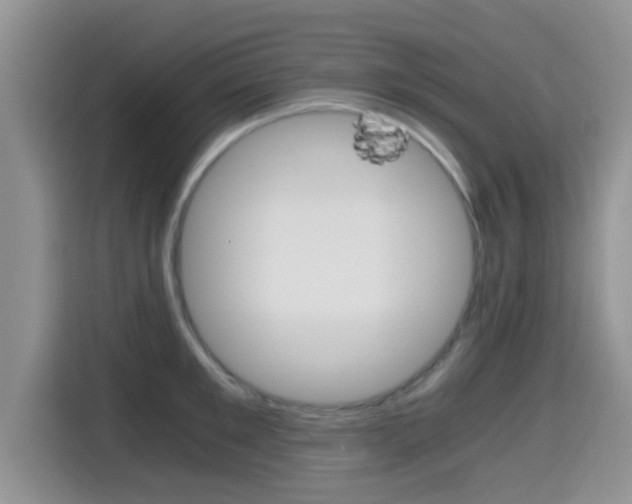 X0000115700901200911120941