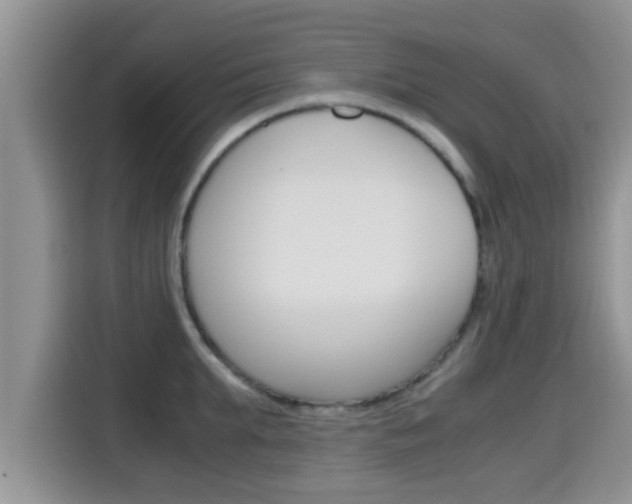 X0000115700903200911120941