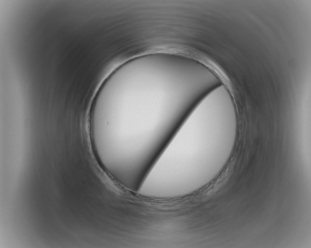X0000115700907200911120940