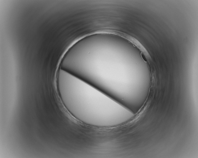 X0000115700908200911120940