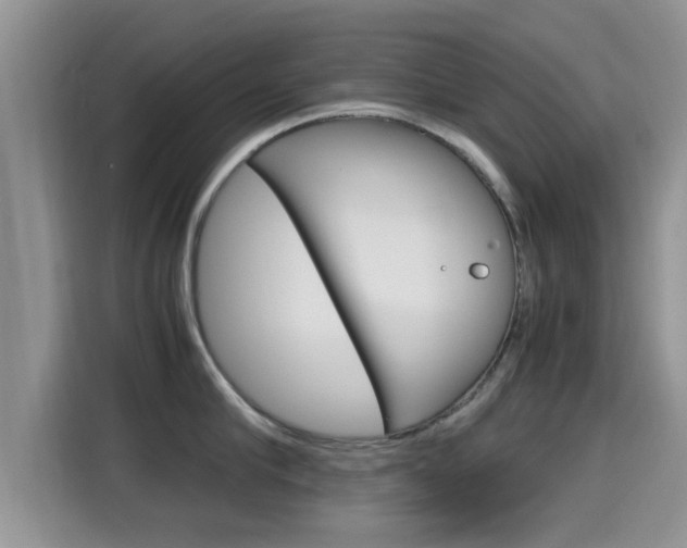 X0000115700910200911120940