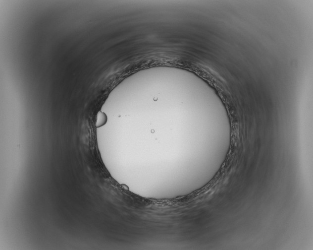 X0000115700917200911120940