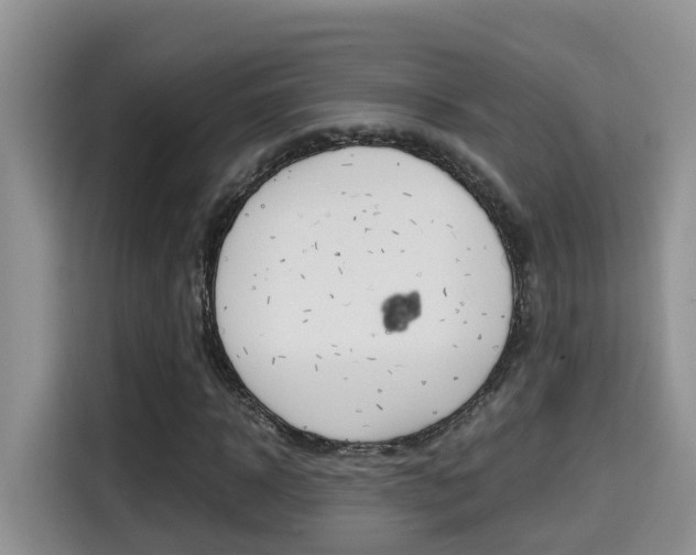 X0000115700918200911120940
