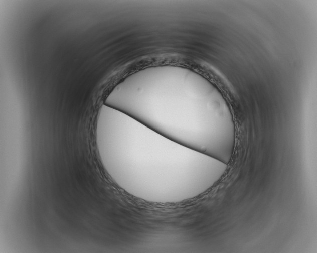 X0000115700919200911120940