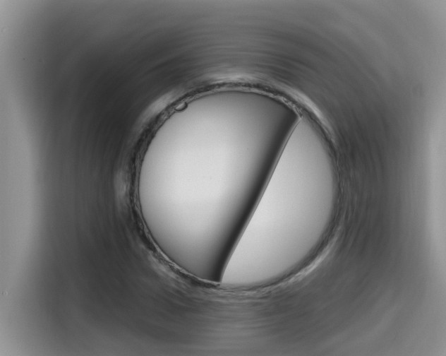 X0000115700922200911120940