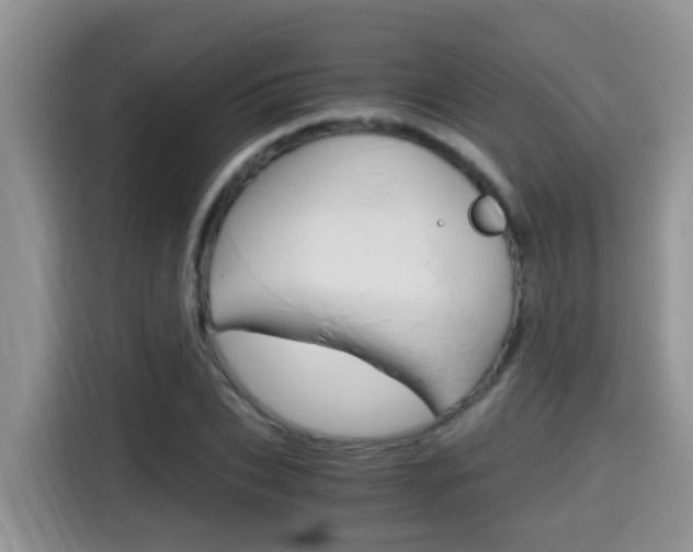 X0000115700927200911120940