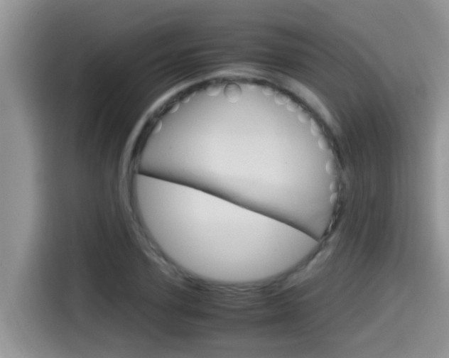 X0000115700931200911120940