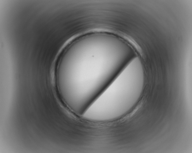 X0000115700934200911120940