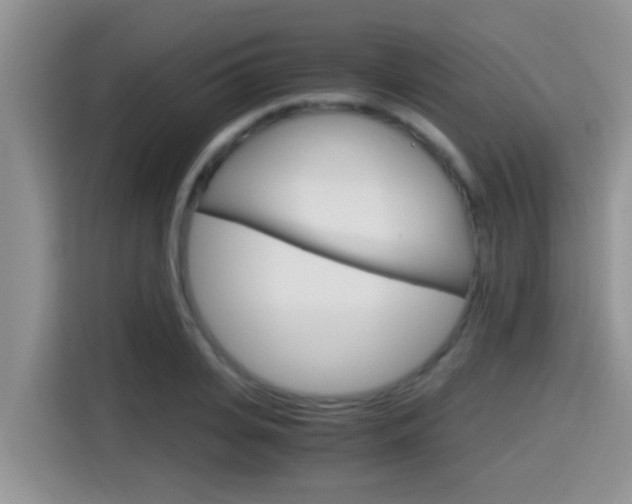 X0000115700935200911120940