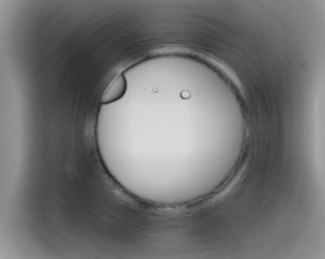 X0000115700937200911120940