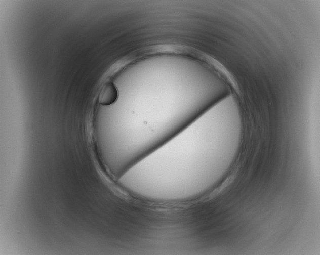 X0000115700938200911120940