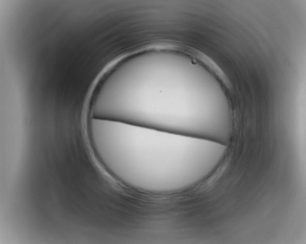 X0000115700939200911120940