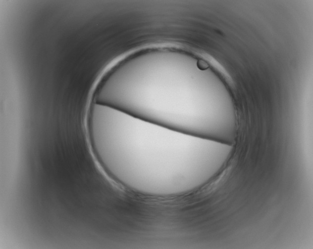 X0000115700943200911120940