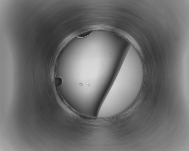 X0000115700946200911120940