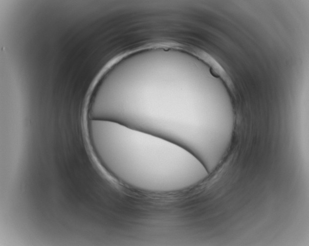 X0000115700947200911120940