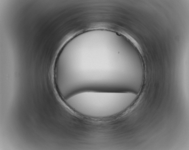 X0000115700949200911120940