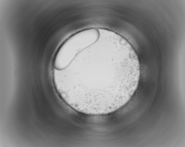 X0000115700950200911120940