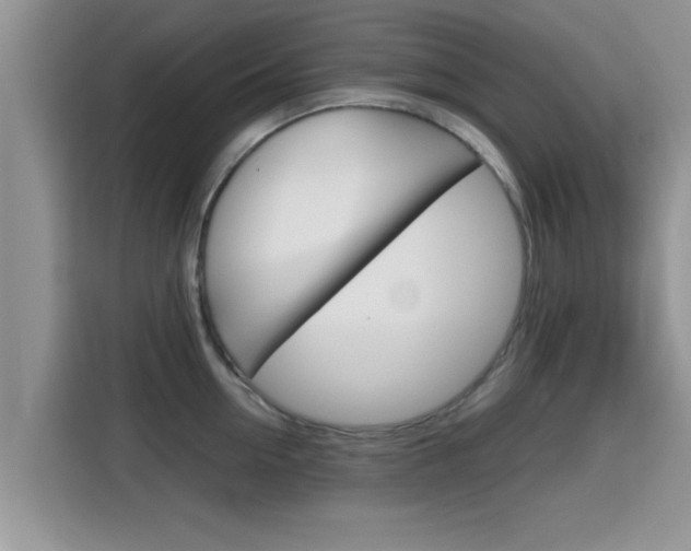X0000115700954200911120940