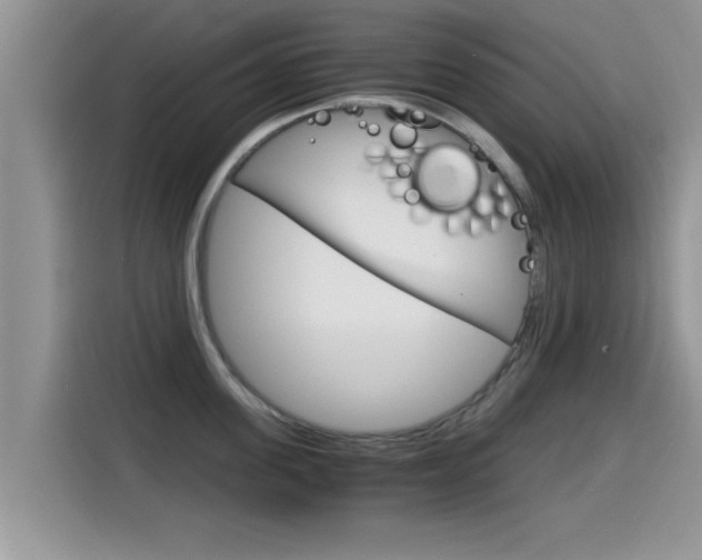 X0000115700955200911120940