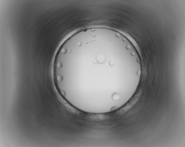 X0000115700957200911120940