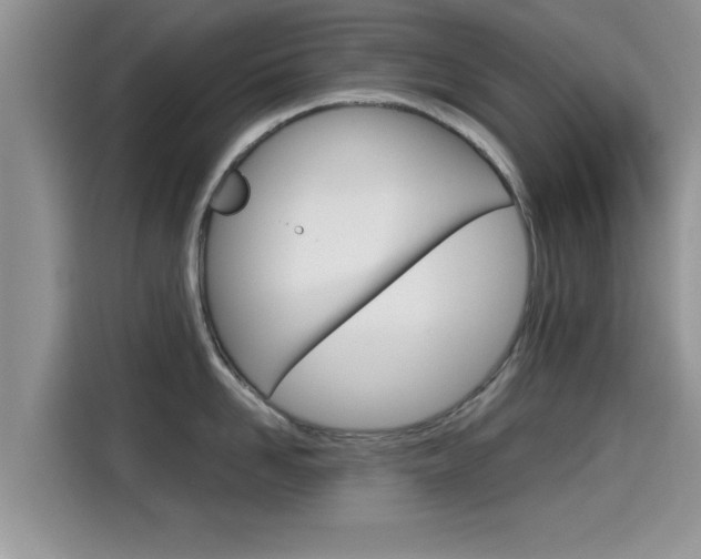 X0000115700958200911120940