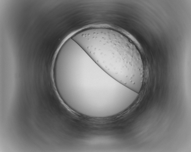 X0000115700959200911120940