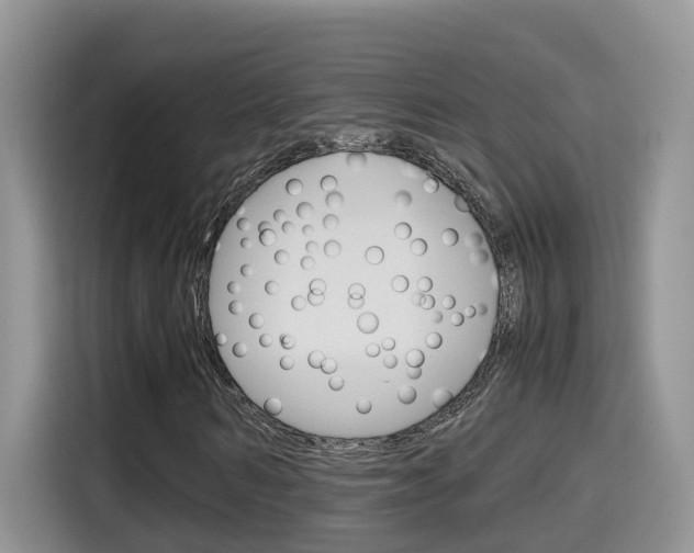 X0000115700962200911120940