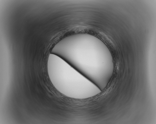 X0000115700964200911120940
