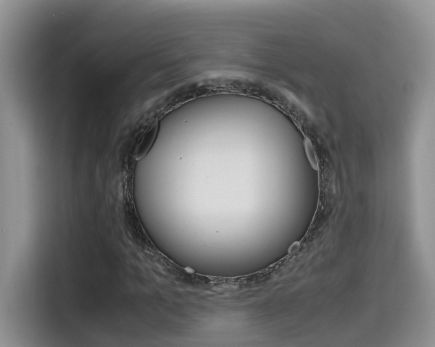 X0000115700965200911120940