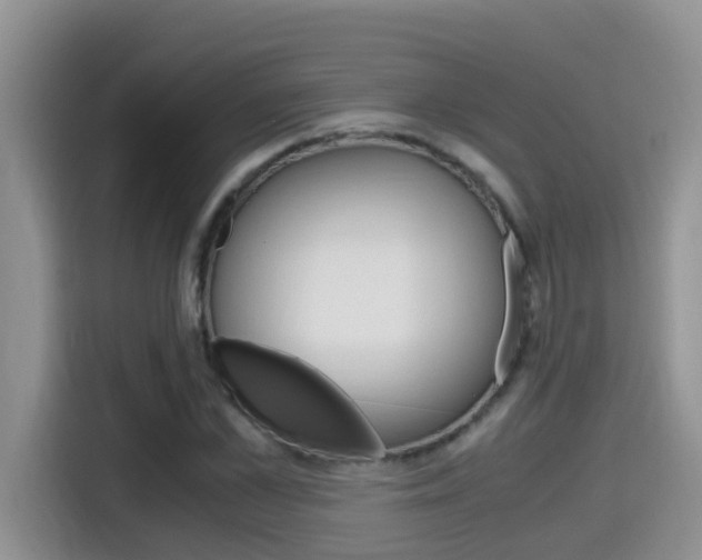 X0000115700973200911120940